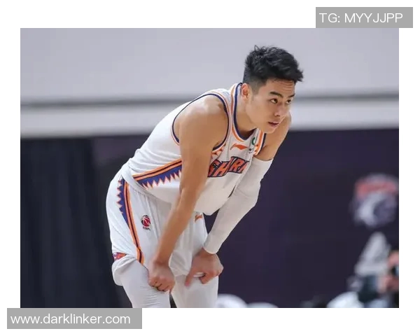 李添荣的成长之路：从默默无闻到行业领军人物的蜕变与启示